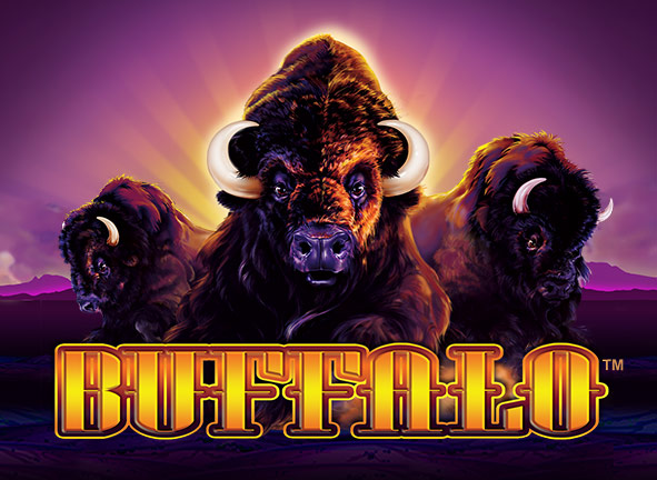 Buffalo